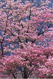 可以玩的机甲动画！战术沙盒RPG《终末机兵》2025年内发售